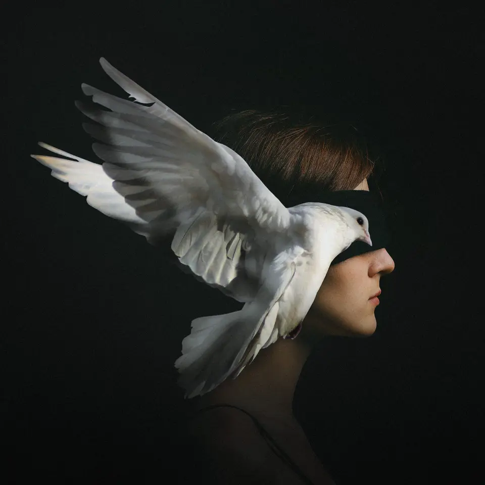 Artwork of a woman in profile whose eyes are covered by a white dove in flight, on black